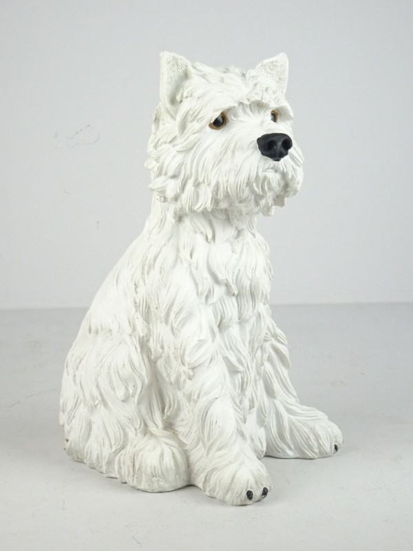 Beeld van en witte hond die lijkt op een West Highland white terrier.