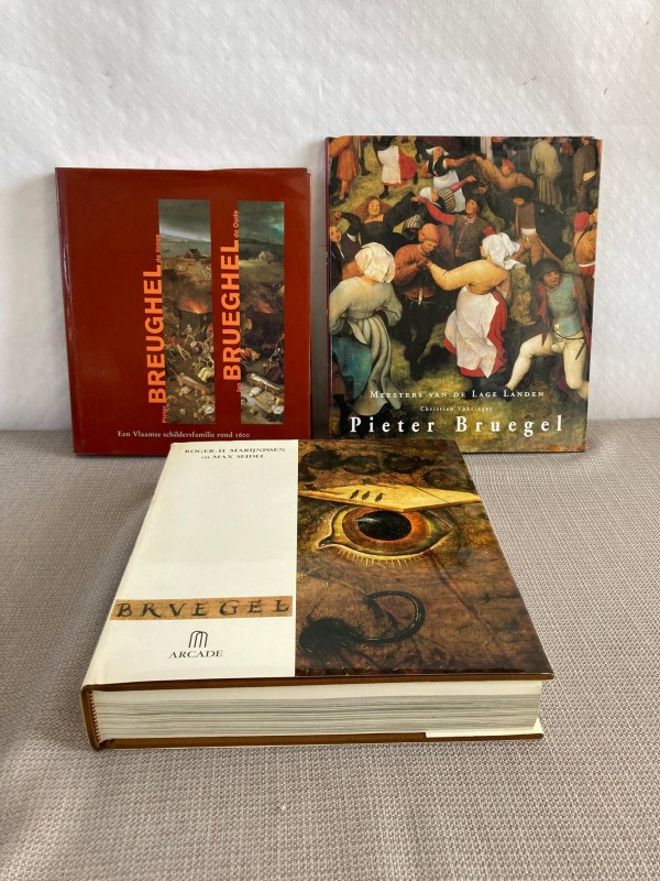 3 boeken over Brueghel