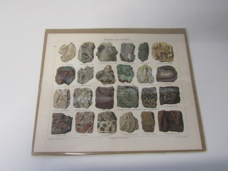 Antieke Litho, Mineralen, Duitstalig, 1906