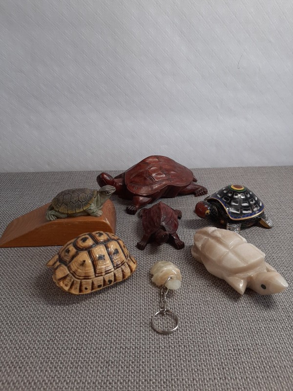 Lot van 7 schildpadden