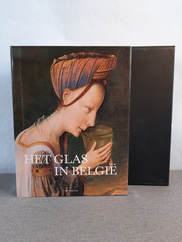 Boek: Het glas in België