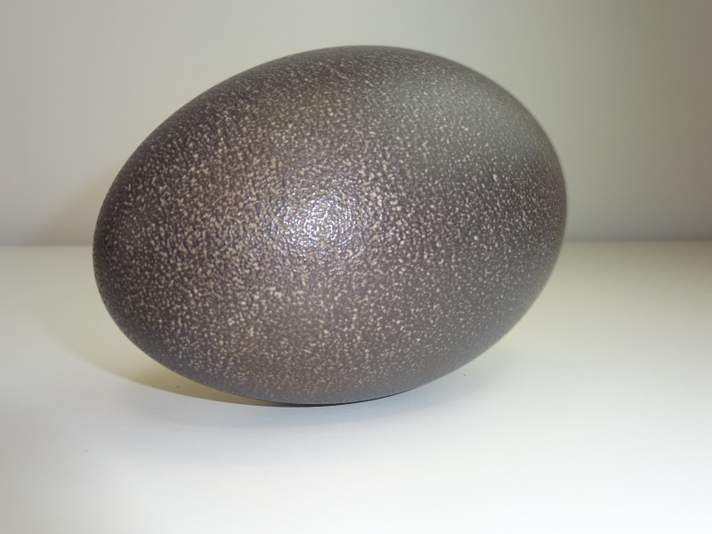 Groot Zwart Ei, Emoe