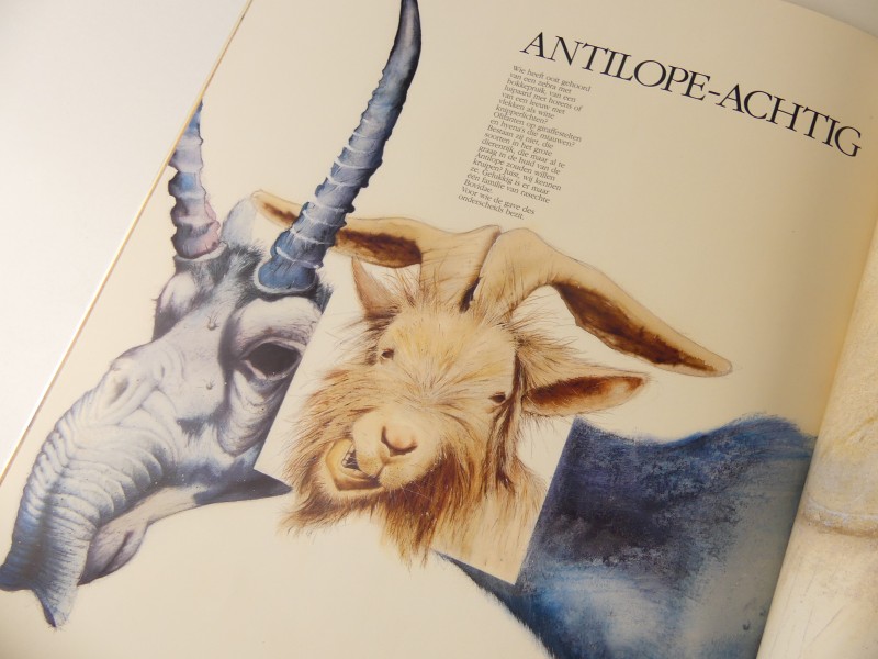Vintage Brochure Drukkerij Antilope