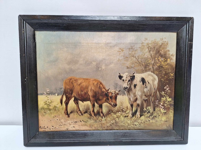 Schilderij van 2 koeien (olie op doek)
