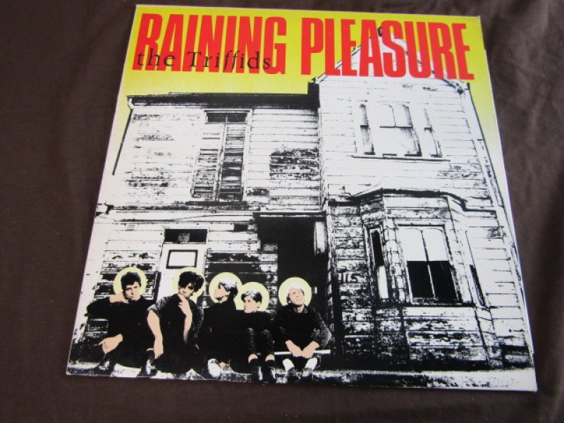 LP The Triffids, Raining Pleasure, 1984