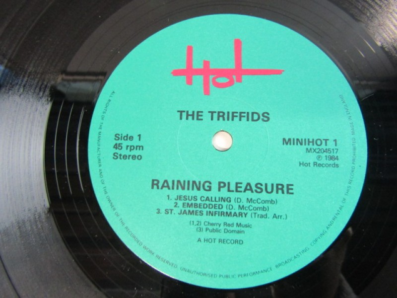 LP The Triffids, Raining Pleasure, 1984