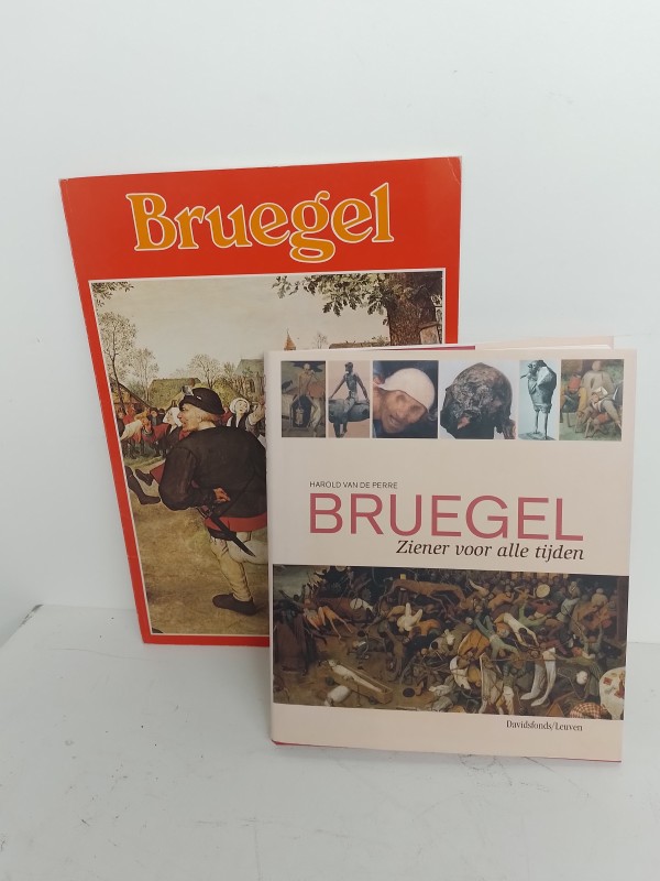 Set 2 boeken Bruegel