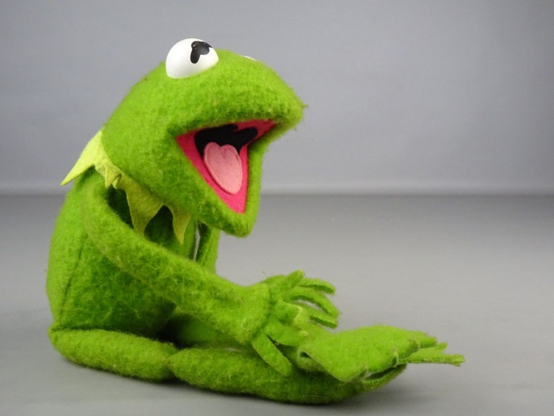 echo Plaatsen Opvoeding Kermit de kikker pop - De Kringwinkel