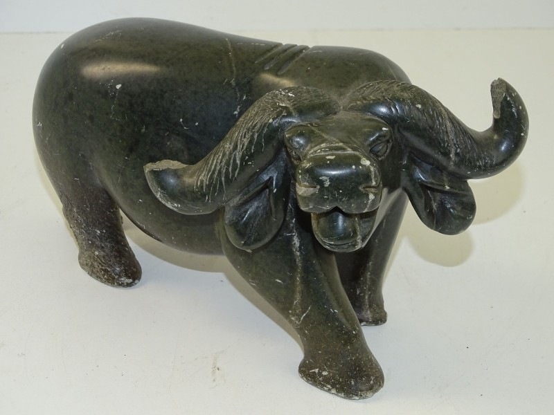 Waterbuffel in Steen
