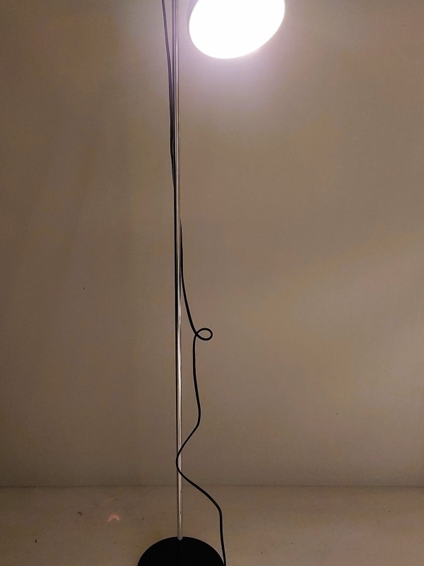 Vintage vloerlamp met richtbare spot
