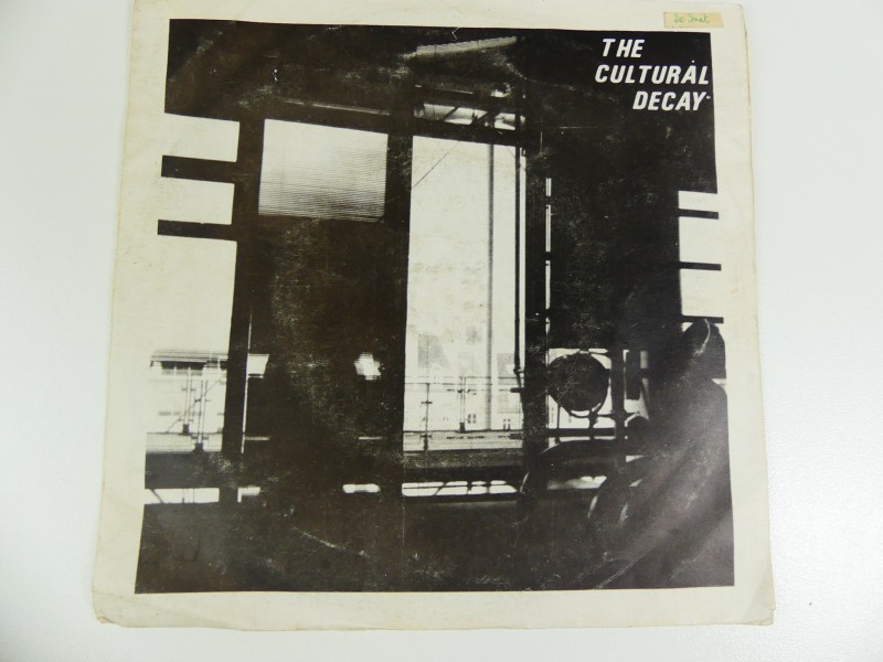 The Cultural Decay - Vinyl