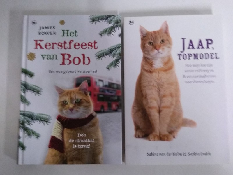 Verzameling boeken katten