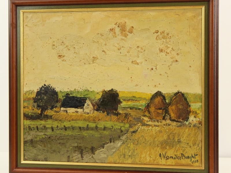 Pasteus landschap André van der Borght
