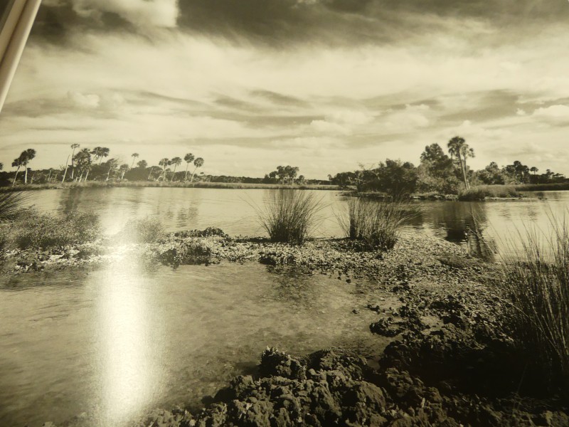 Fotoboek - Clyde Butcher - Florida Landscapes - 2001