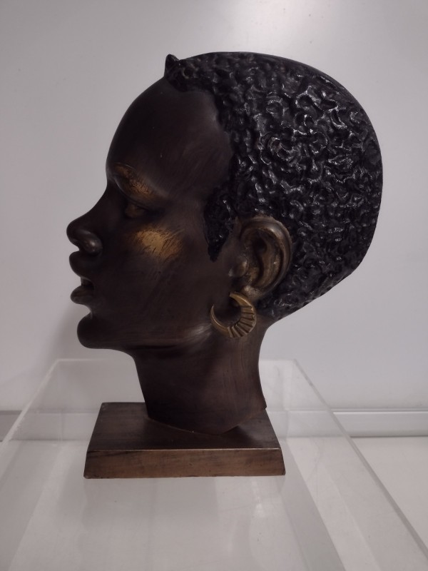 Bronzen hoofd Afrikaan