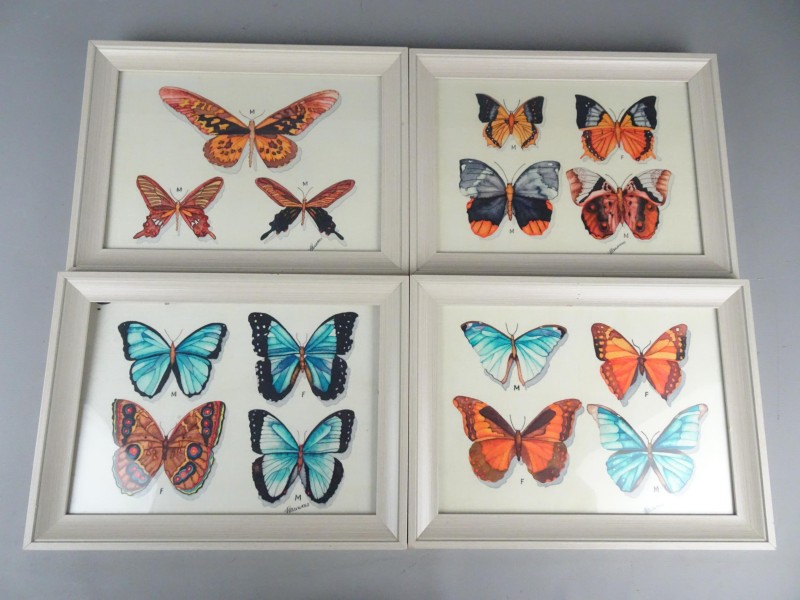 4 schilderijtjes van vlinders