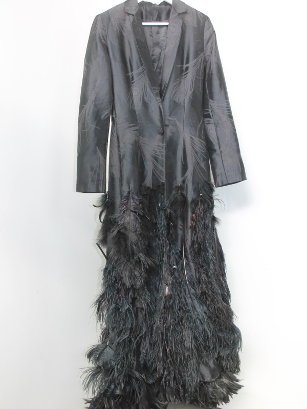 Kostuumjas - jurk versierd met pluimen