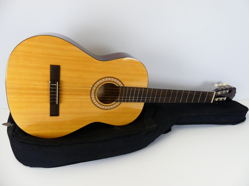 Fender FC-1 gitaar