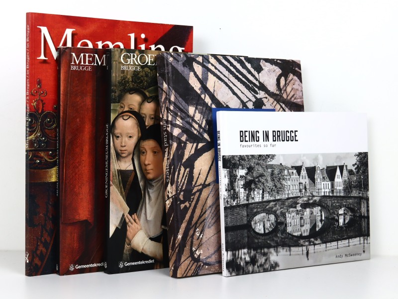Lot van 5 kunstige boeken Brugge