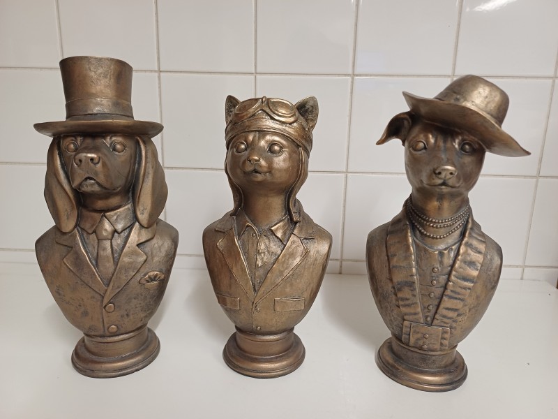3 bustes honden en kat