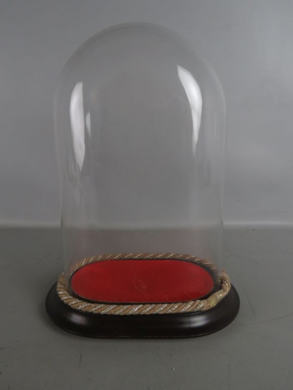 Ovale glazen stolp op voet
