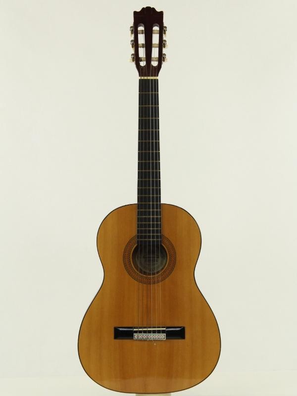 Santana G-100 3/4 Klassieke Gitaar met hoes