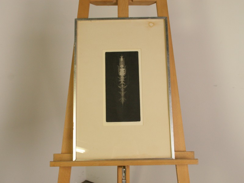 Droge Naald Ets – Bekerbloem (Proefdruk) *UPDATE