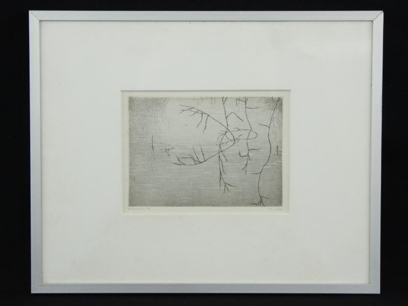 Monochrome, realistische ets - Reinder Homan (°1950).