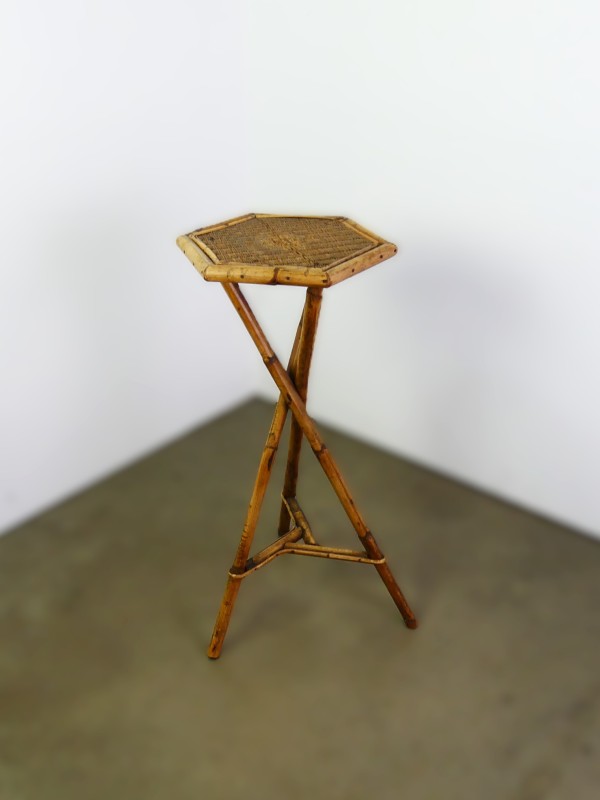 Vintage rotan plantentafel