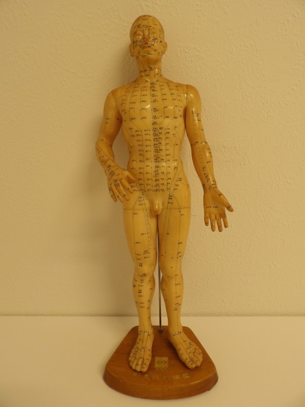 Acupunctuur-meridiaanpunten model