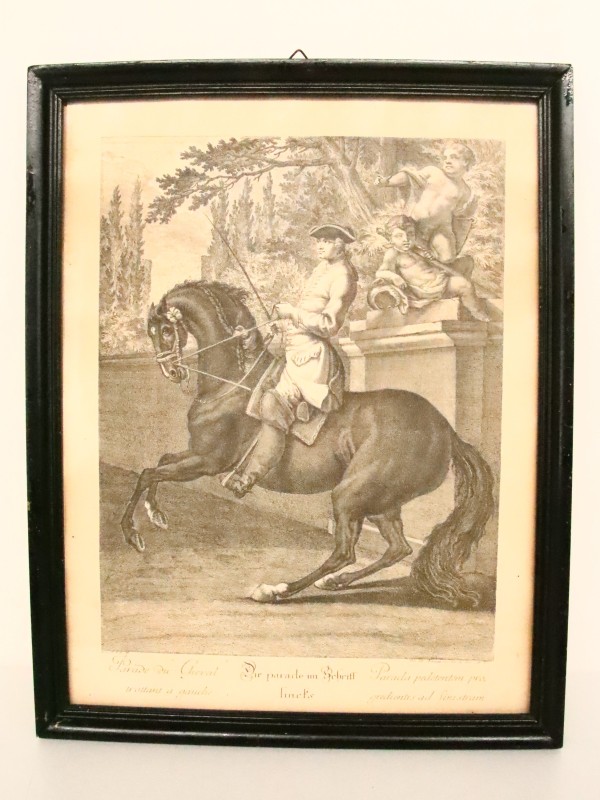 Kopergravue : "Die Parade im Schrift links", van Johann Elias Ridinger