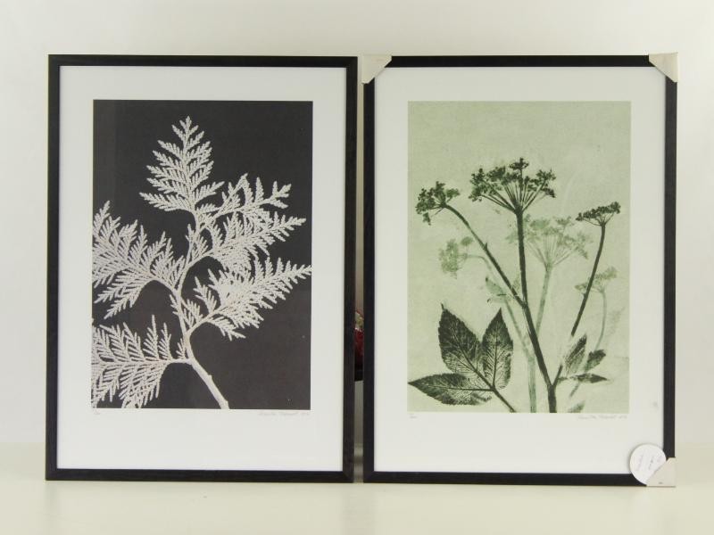 2 Botanische prints - Pernille Folcarelli