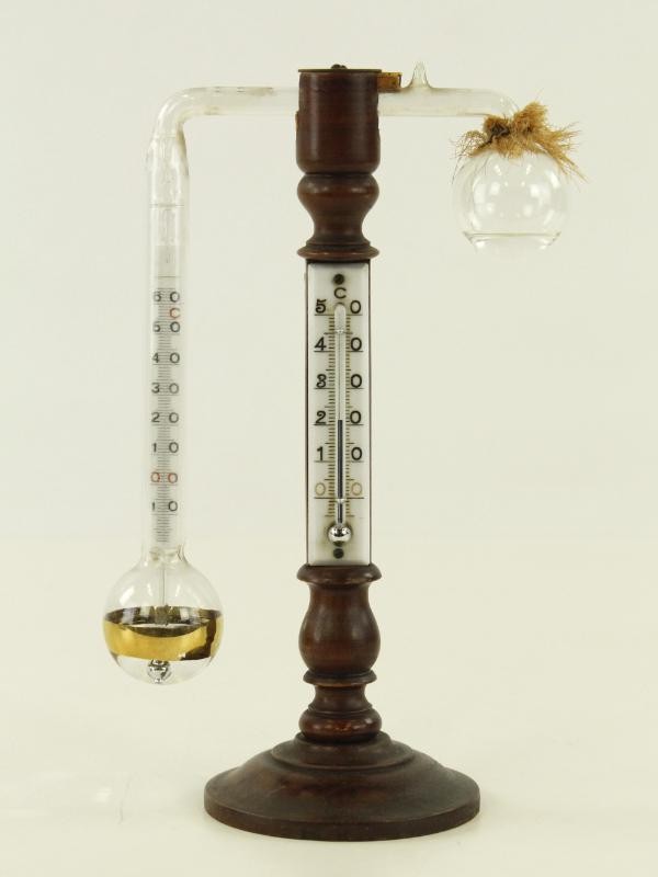 Antieke hygrometer met kwik