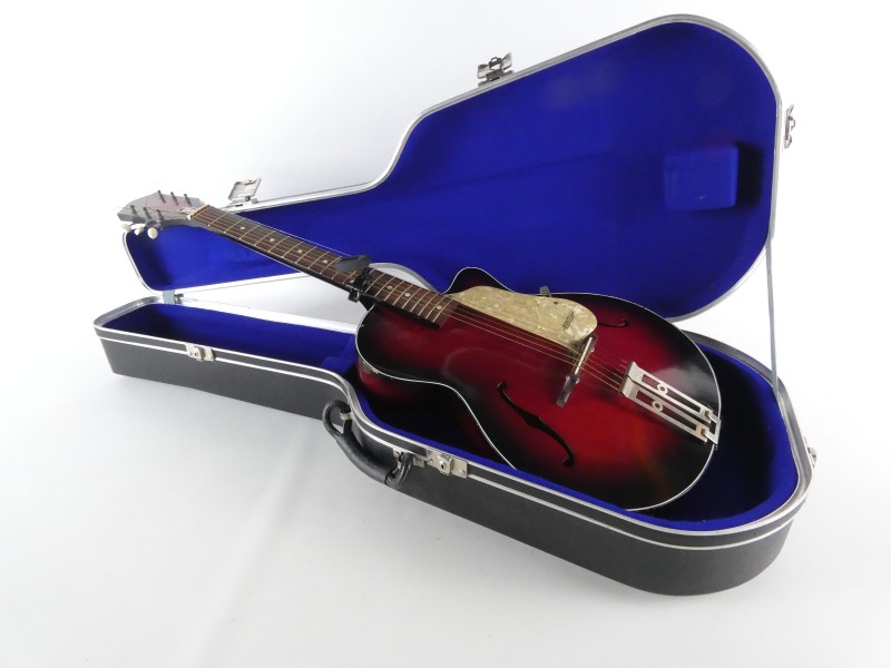 Egmond Vintage Archtop Gitaar + Hardcase (Nederland)