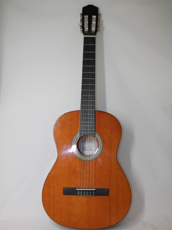 Akoestische Gitaar (Art. 3830)