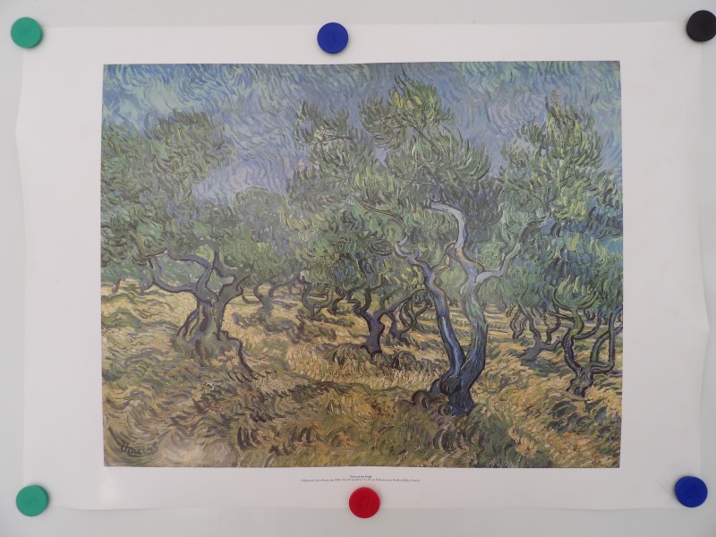 Reproductieposter Vincent van Gogh - Olijfgaarde
