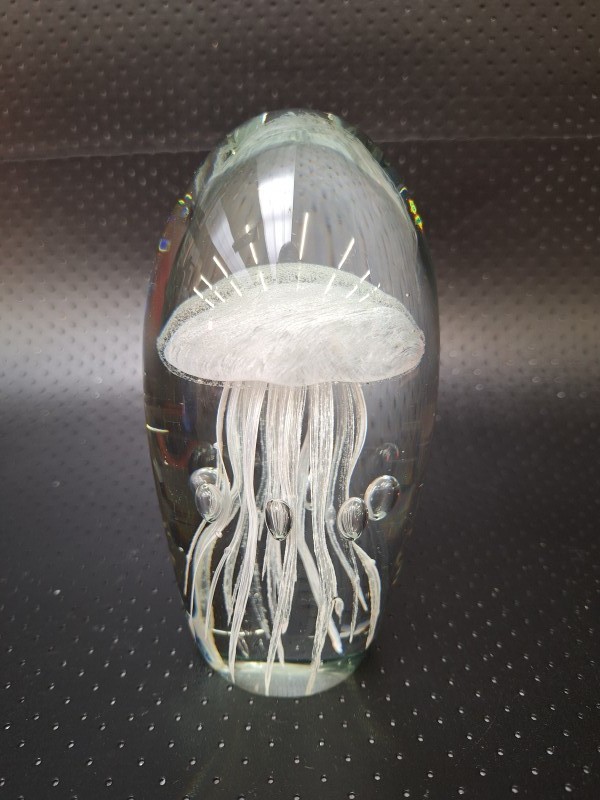 Vintage Presse-papier in Glas met 3D Kwal
