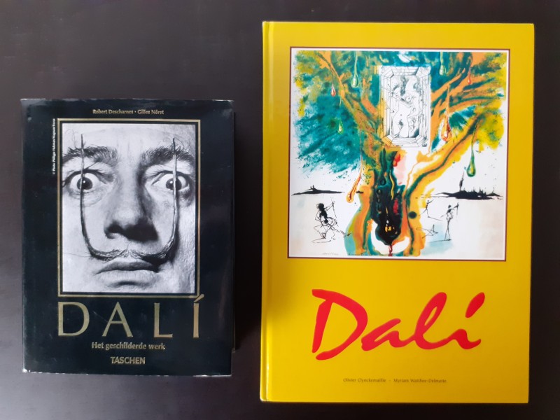 Boek: Duo van Salvador Dalí kunstboeken