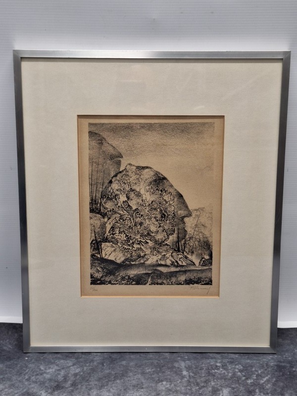 Surrealistisch landschap met verborgen gezichten | Gesigneerde lithografie 53/200 - Frans Minnaert