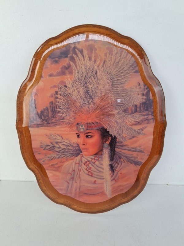Inheemse Amerikaase vrouw : Eagle Dancer