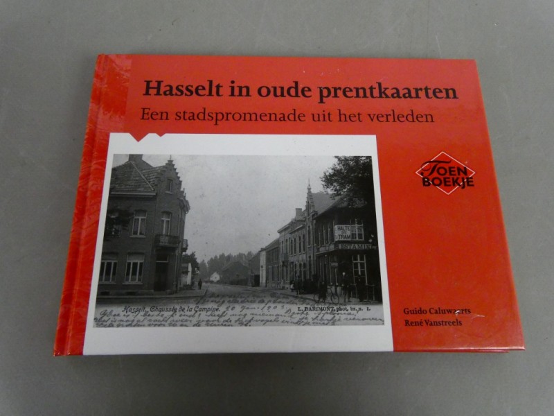 Hasselt in oude prentkaarten