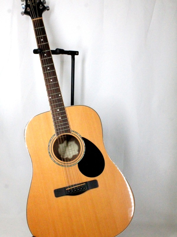 Greg Bennet Akoestische Gitaar met Gigbag (Art. 4454)