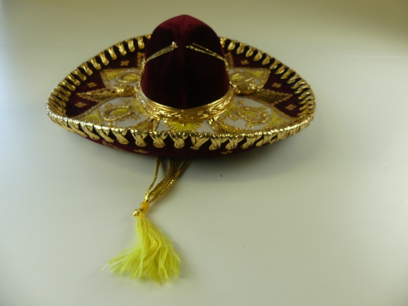 Authentieke Mexicaanse Sombrero Aubergine/goud